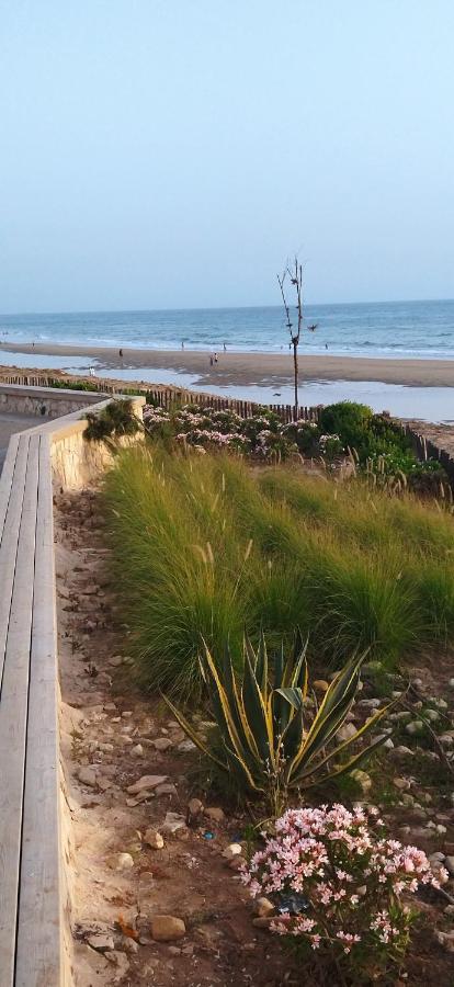 Appart Oubaha Tamrakht Taghazout Agadir Phòng bức ảnh